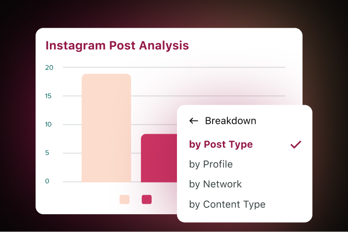 Esempio di analisi di un post di Instagram suddiviso per tipo di post, profilo, rete o tipo di contenuto.