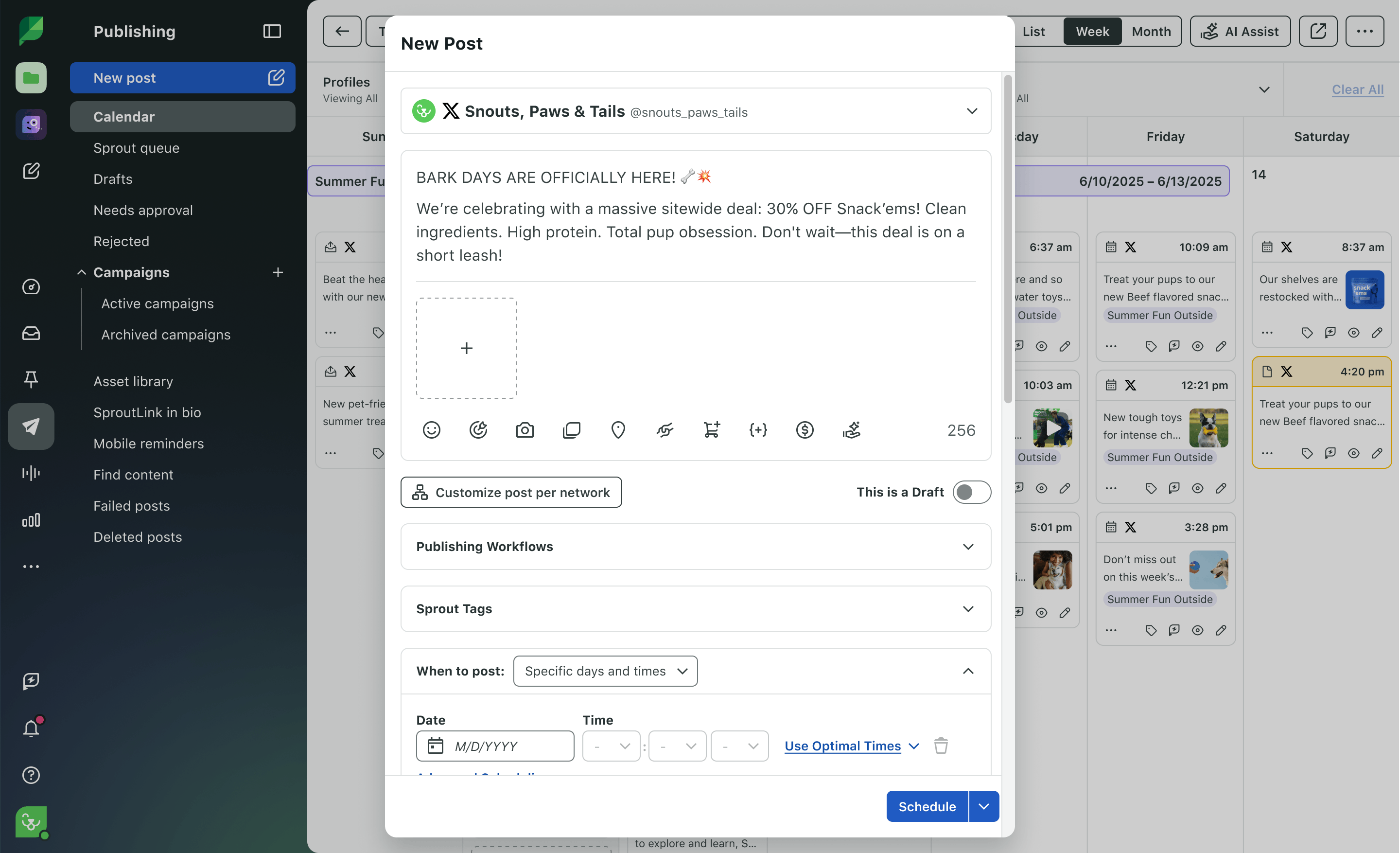 Imagen de producto de Sprout Social de la vista de lista del calendario de publicación con redacción de focalización de LinkedIn.​​ 