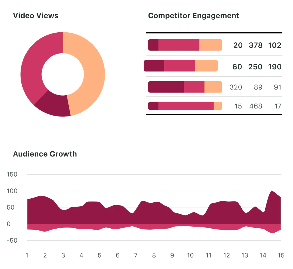 L'immagine mostra una dashboard di dati con metriche chiave relative alle prestazioni dei social media, tra cui un grafico a torta per le visualizzazioni dei video, grafici a barre per l'engagement dei concorrenti e un grafico a linee per la crescita del pubblico nel tempo. Lo sfondo scuro e gli elementi di design puliti e decisi evidenziano l'importanza di monitorare le analisi dei social media per guidare la strategia.