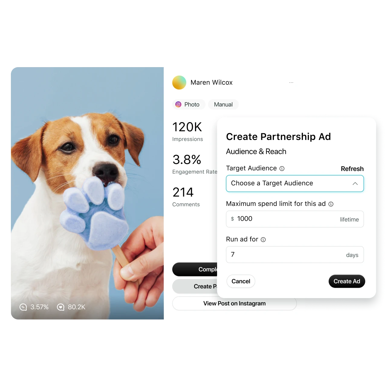 Écran de création d'annonces partenaires Instagram avec sélections d'audience et de portée et mesures de performance de la pub d'une glace pour chien.​​ 