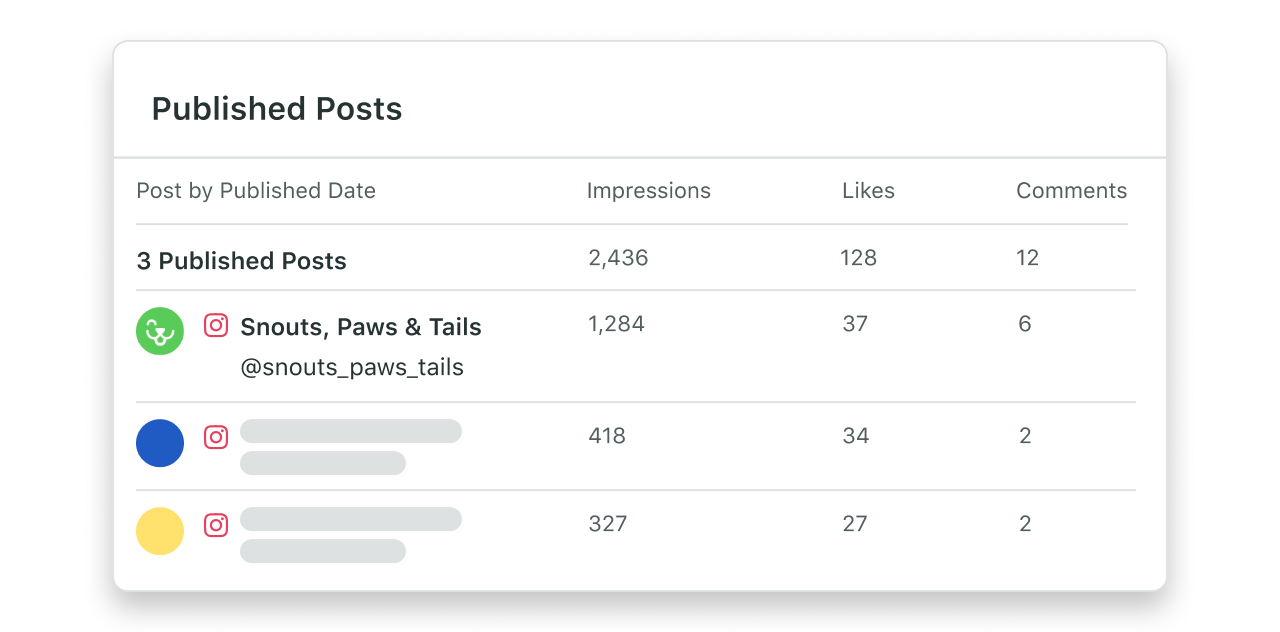 Instagram report