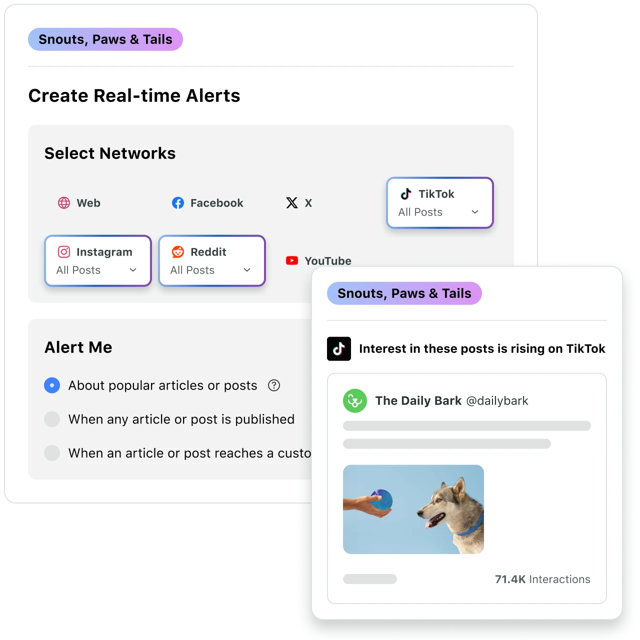 A pop-up box that demonstrates how to create NewsWhip alerts for specific words on specific networks 