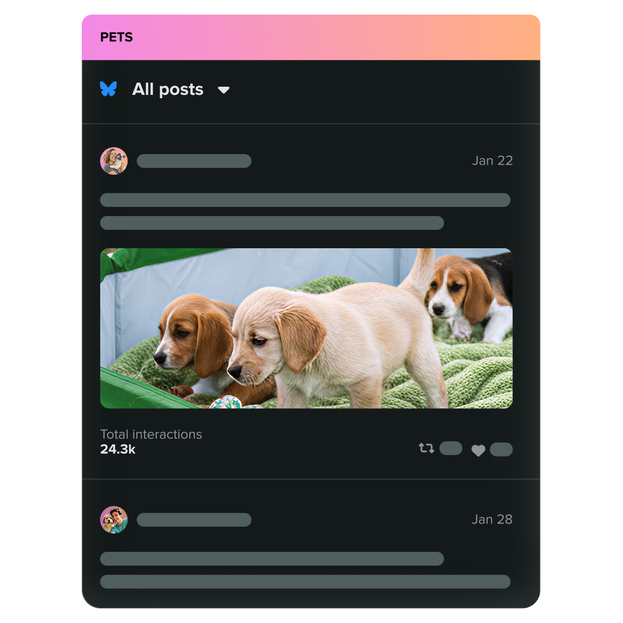 Bluesky post interface in Sprout Social showing trending pet content and interaction metrics powered by NewsWhip.