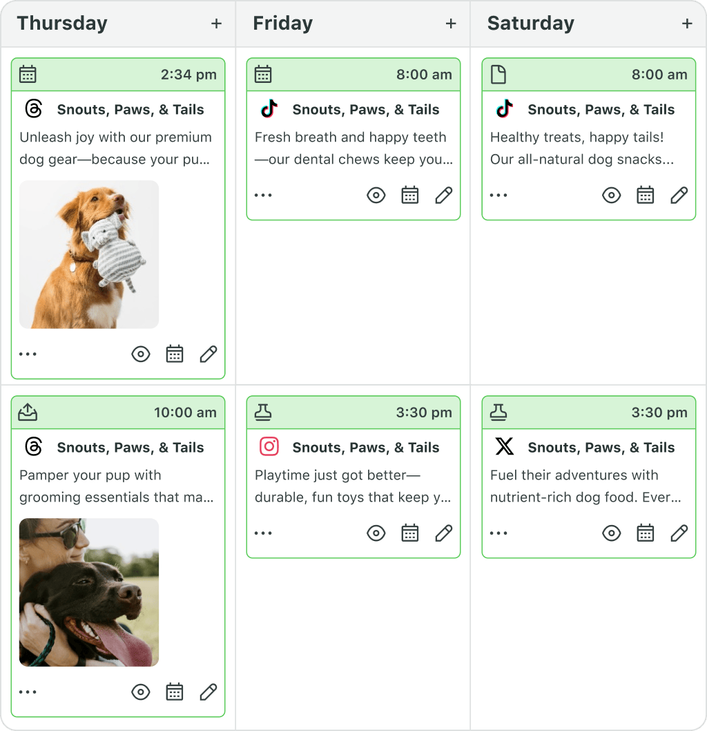 Native posting vs. Sprout Social Essentials: When to upgrade your social strategy